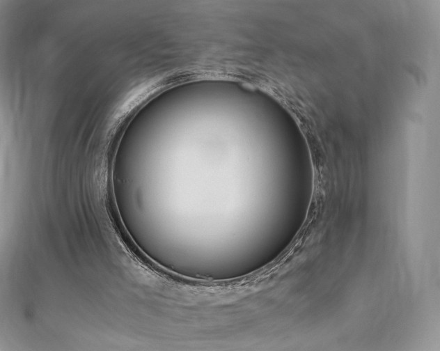 X0000110890005200906181255
