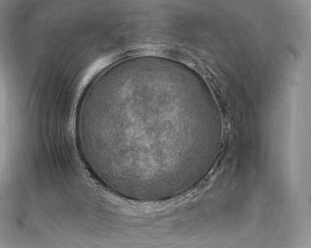 X0000110890006200906181255