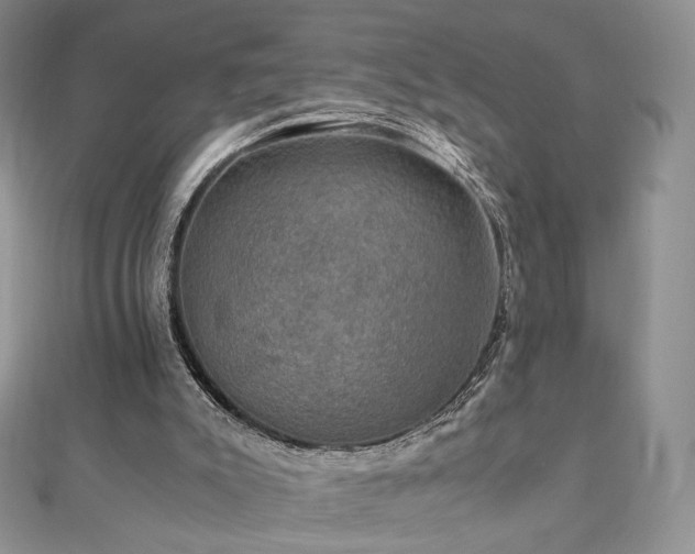 X0000110890007200906181255
