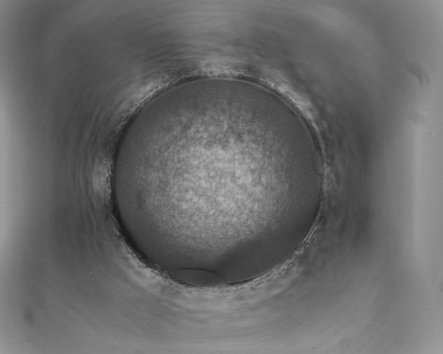 X0000110890009200906181255