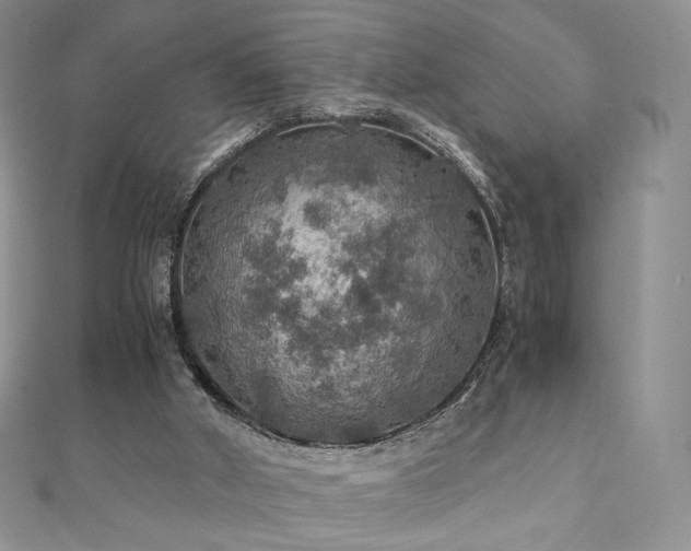 X0000110890010200906181255