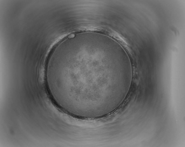 X0000110890012200906181255