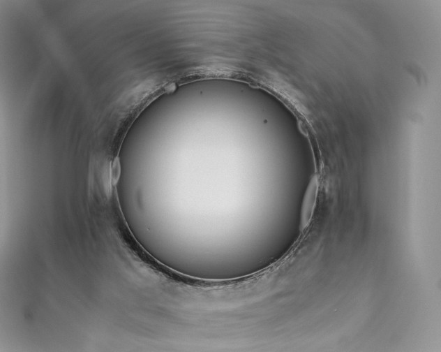 X0000110890013200906181255