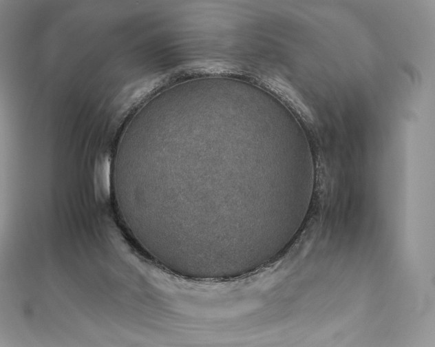 X0000110890014200906181255