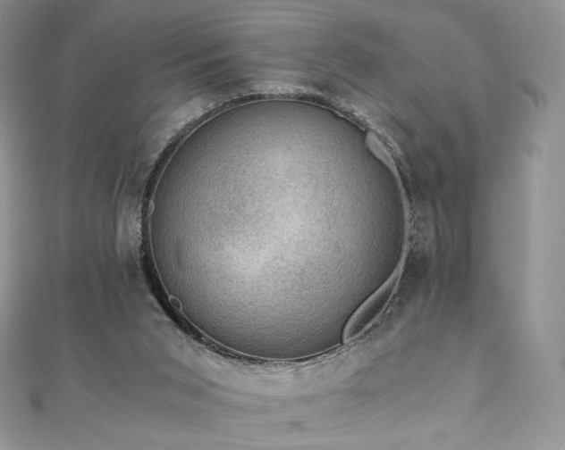 X0000110890015200906181255