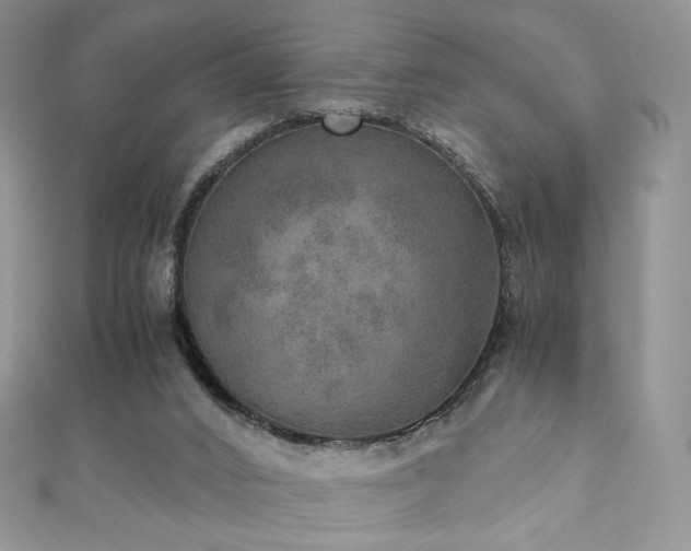X0000110890016200906181255