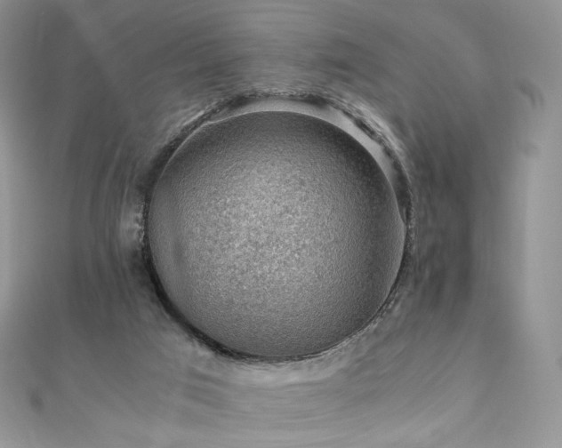 X0000110890017200906181255