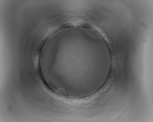 X0000110890018200906181255