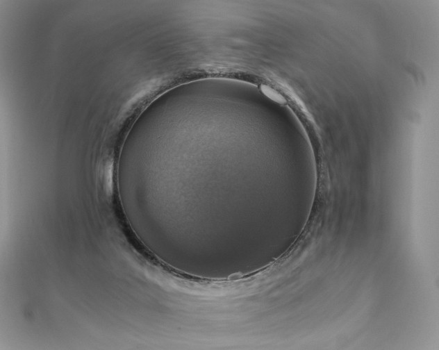 X0000110890019200906181255