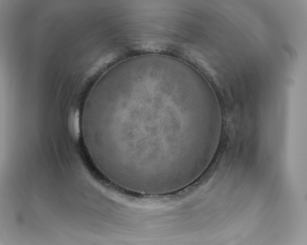 X0000110890020200906181255