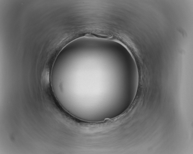 X0000110890021200906181255