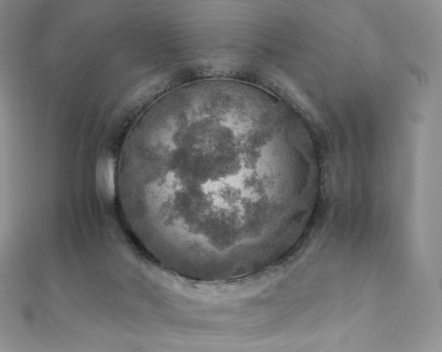 X0000110890022200906181255