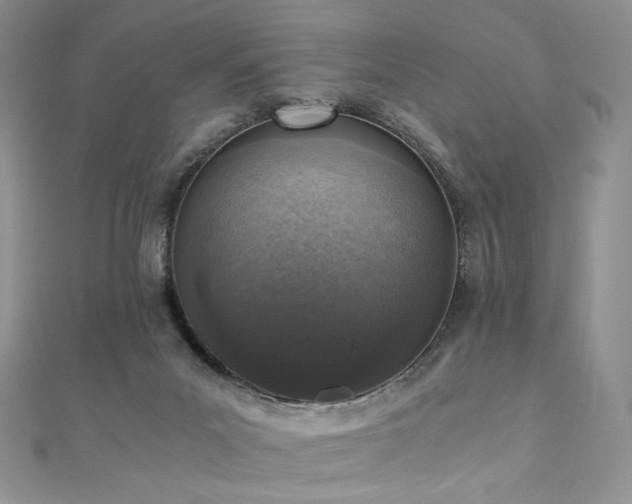 X0000110890023200906181255
