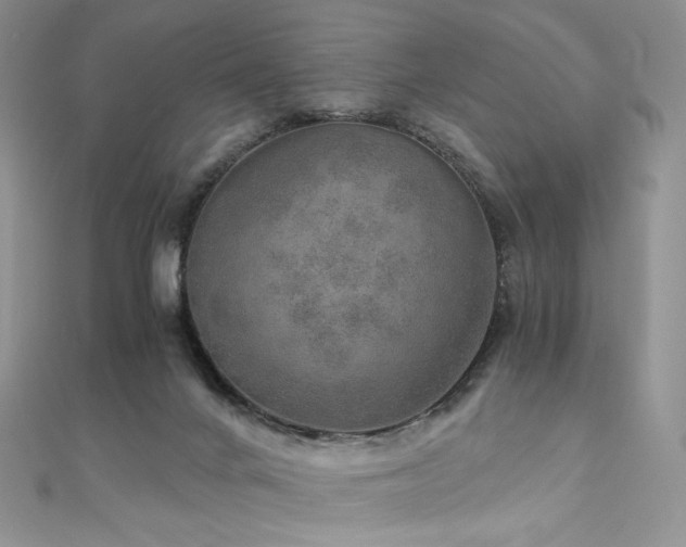 X0000110890024200906181255