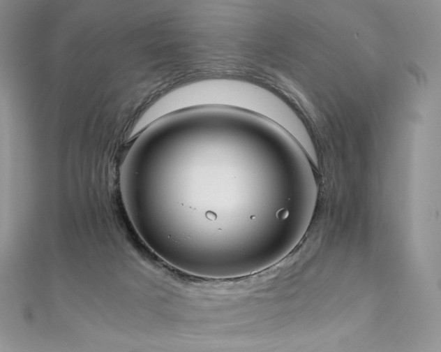 X0000110890025200906181255