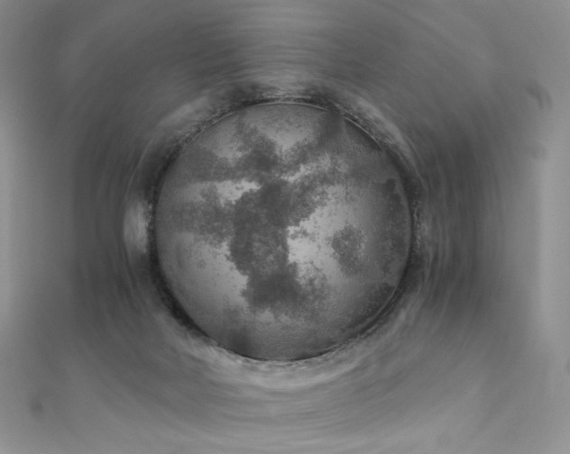 X0000110890026200906181255