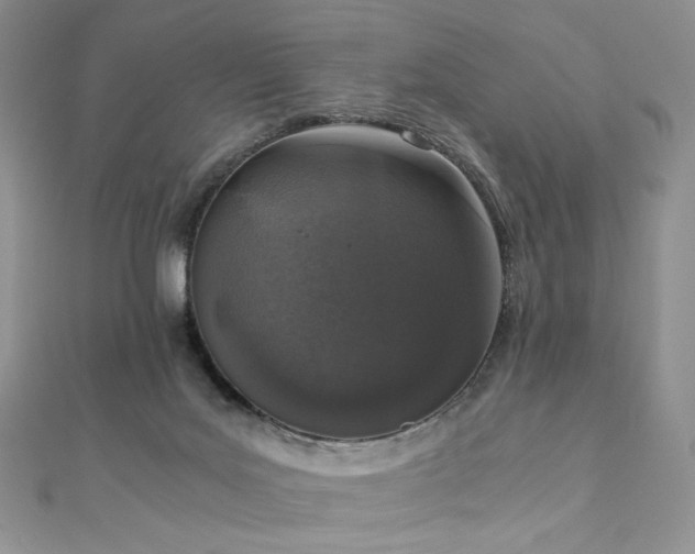 X0000110890027200906181255