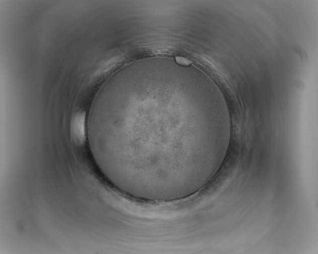 X0000110890028200906181255