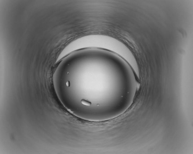 X0000110890029200906181255