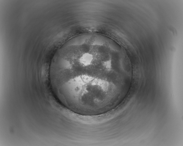 X0000110890030200906181255