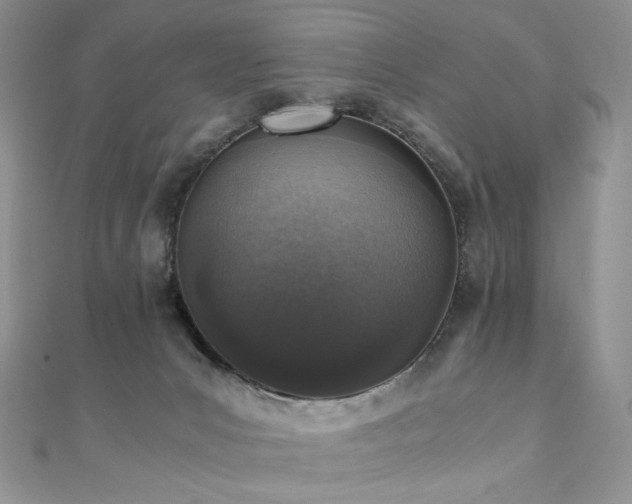 X0000110890031200906181255