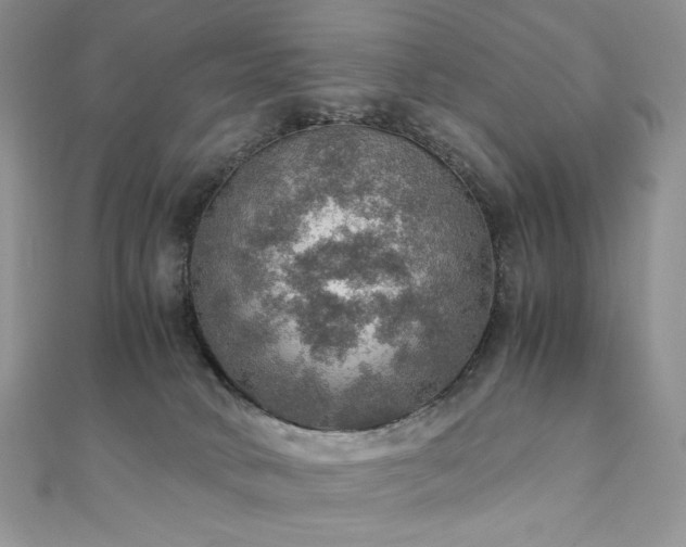 X0000110890034200906181255