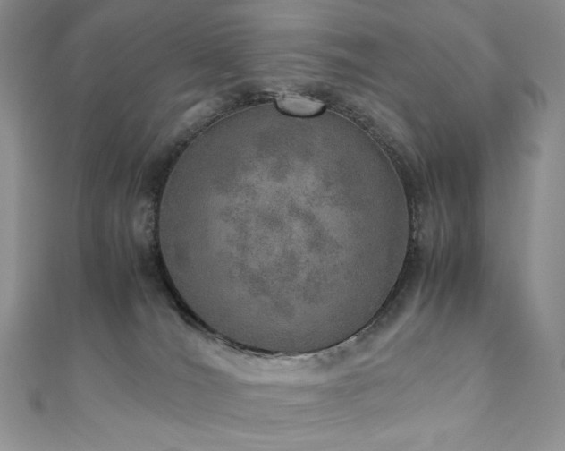 X0000110890036200906181254