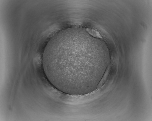 X0000110890037200906181254