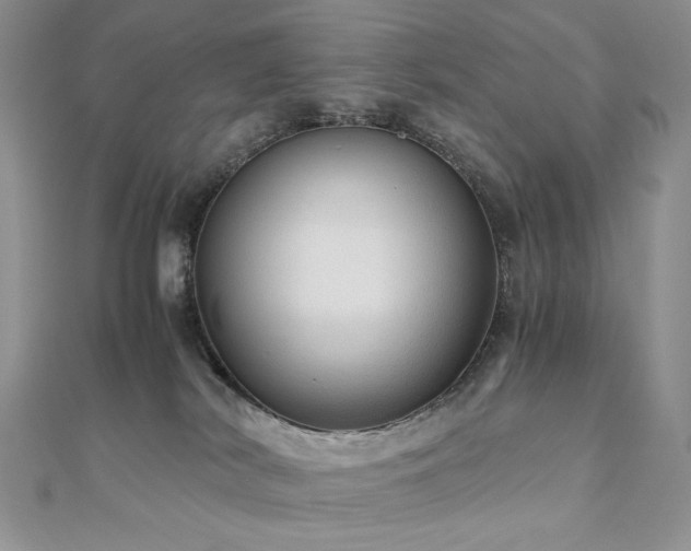 X0000110890038200906181254