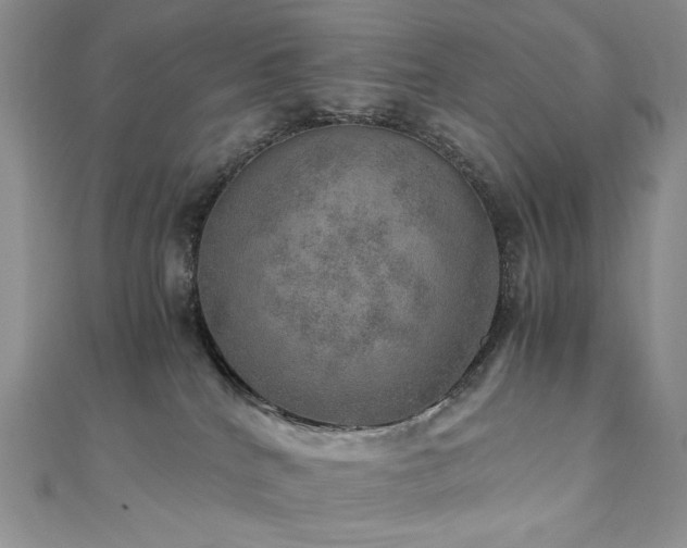 X0000110890040200906181254