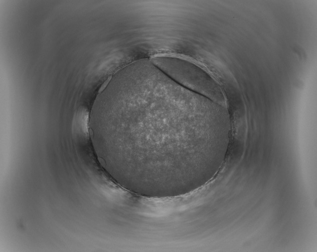X0000110890041200906181254