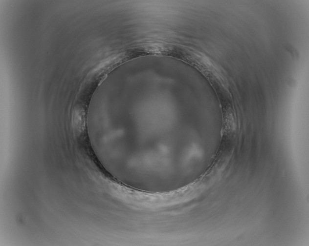 X0000110890043200906181254