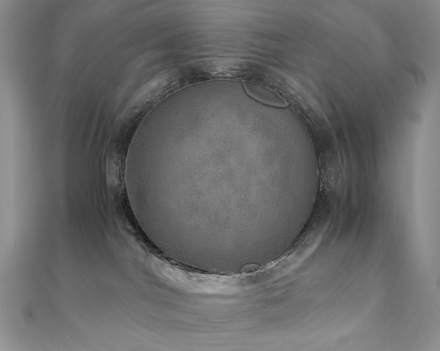 X0000110890044200906181254