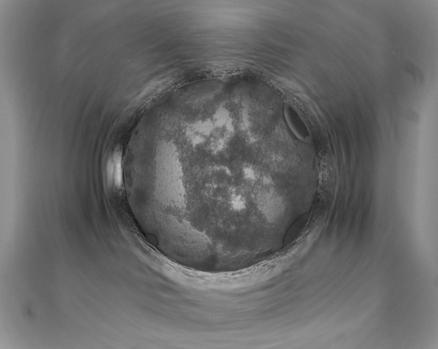 X0000110890046200906181254