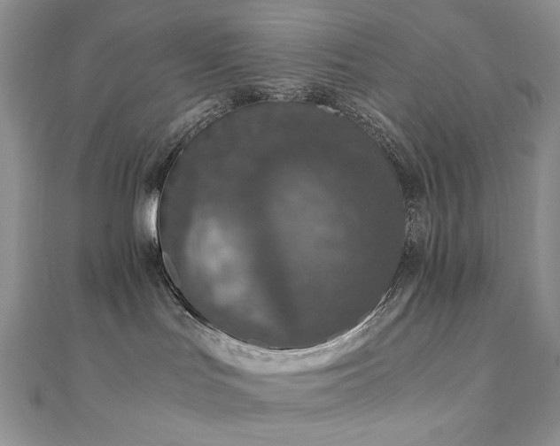 X0000110890047200906181254