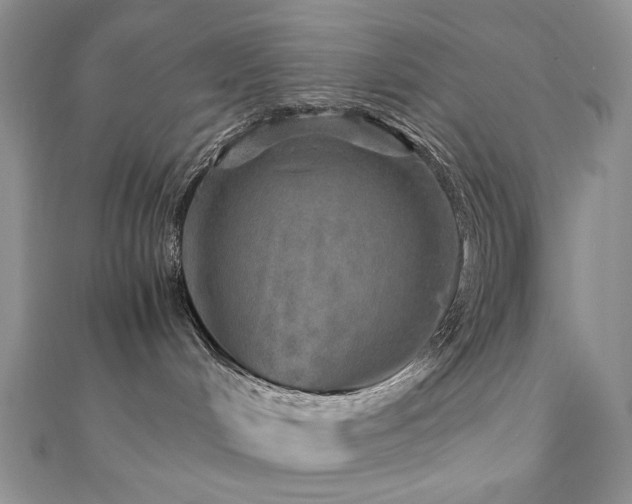 X0000110890048200906181254