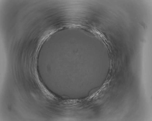 X0000110890049200906181254