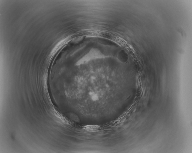 X0000110890051200906181254