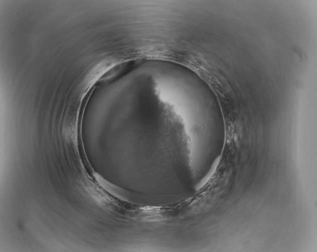 X0000110890052200906181254