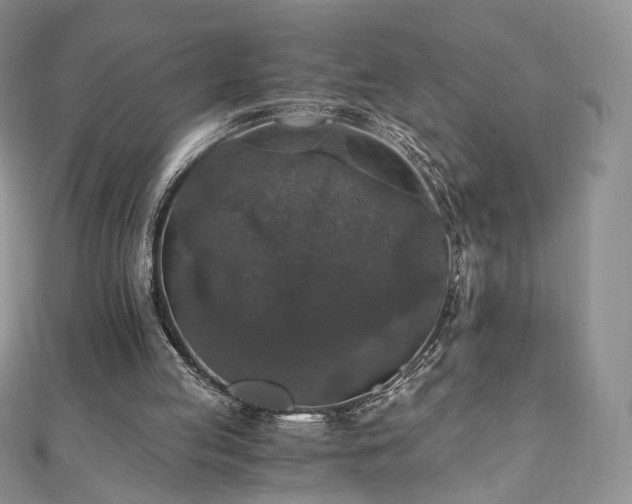 X0000110890053200906181254