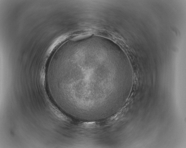 X0000110890054200906181254