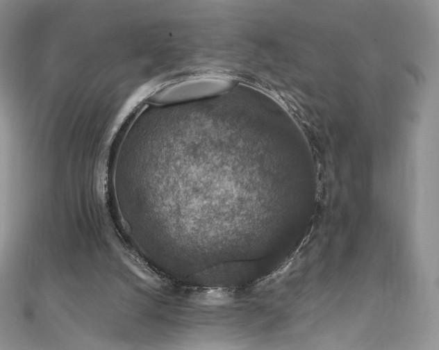 X0000110890056200906181254