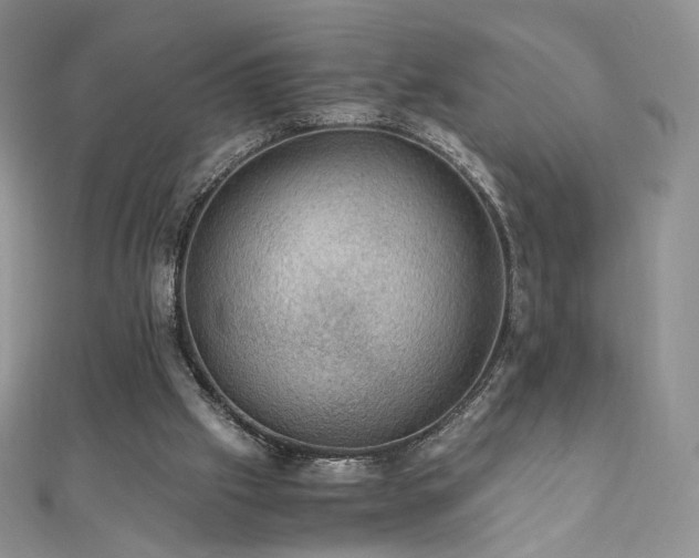 X0000110890057200906181254