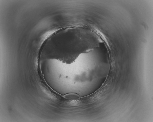 X0000110890059200906181254