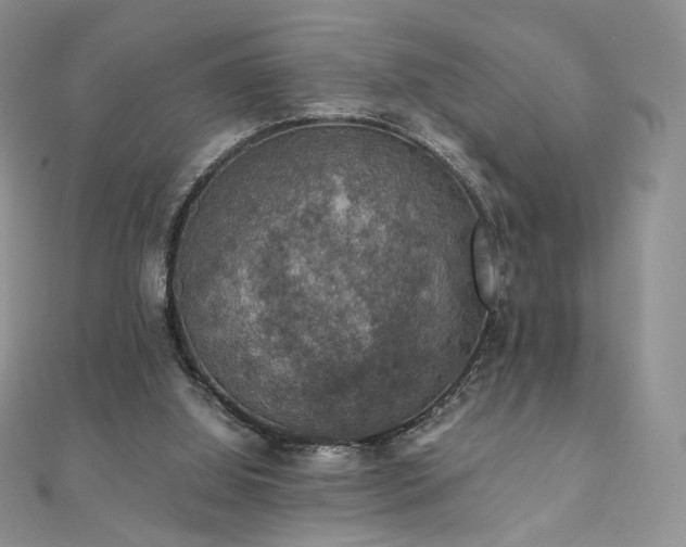 X0000110890060200906181254