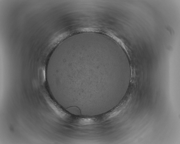 X0000110890061200906181254