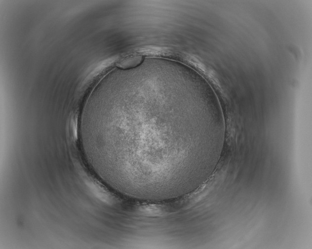 X0000110890062200906181254