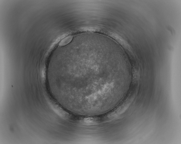 X0000110890064200906181254