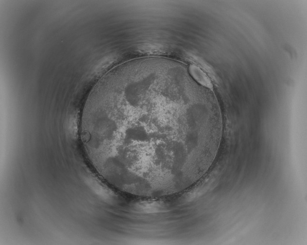 X0000110890065200906181254