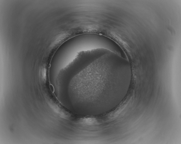 X0000110890067200906181254
